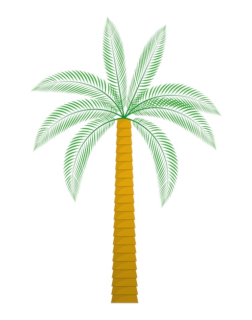 Palmboom tropische natuur zomer strand plant pictogram