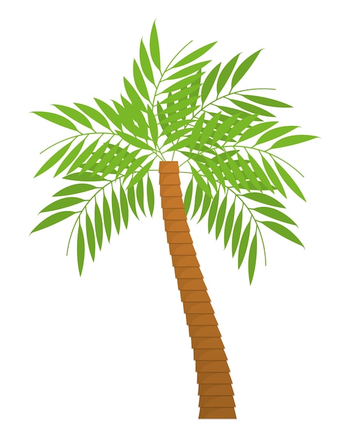 palmboom tropische natuur zomer strand plant pictogram