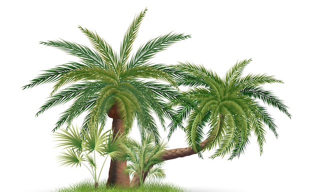 Palmboomsamenstelling in realistische stijl