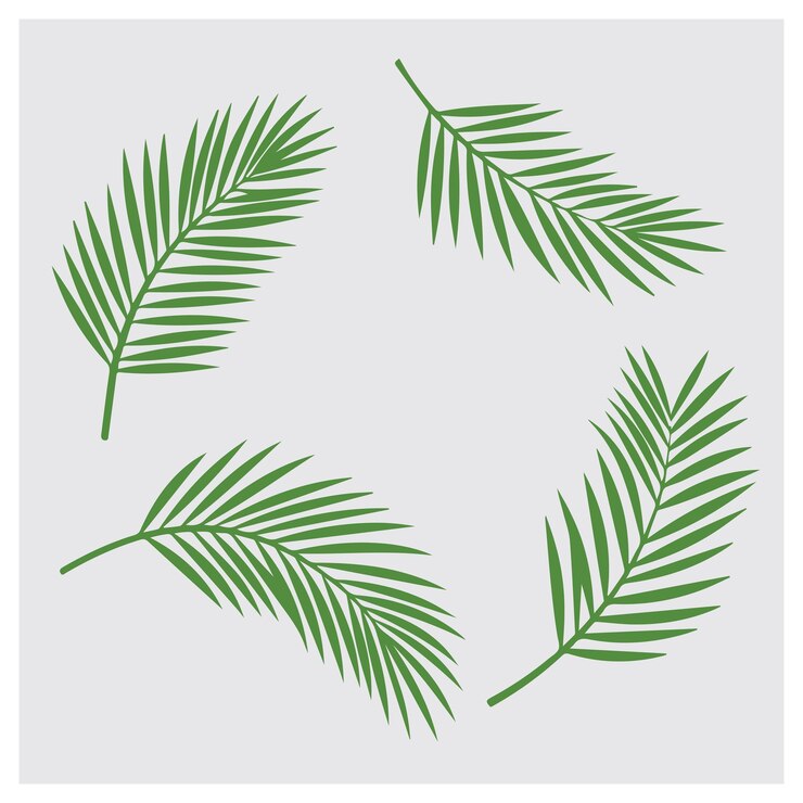 Vector palmeria leaves in vector isolated