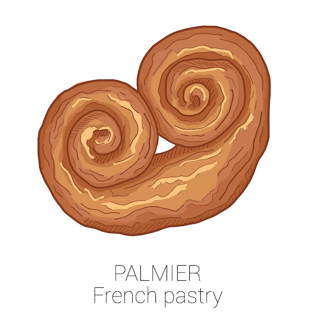 Illustrazione vettoriale colorata della torta di pasticceria francese palmier