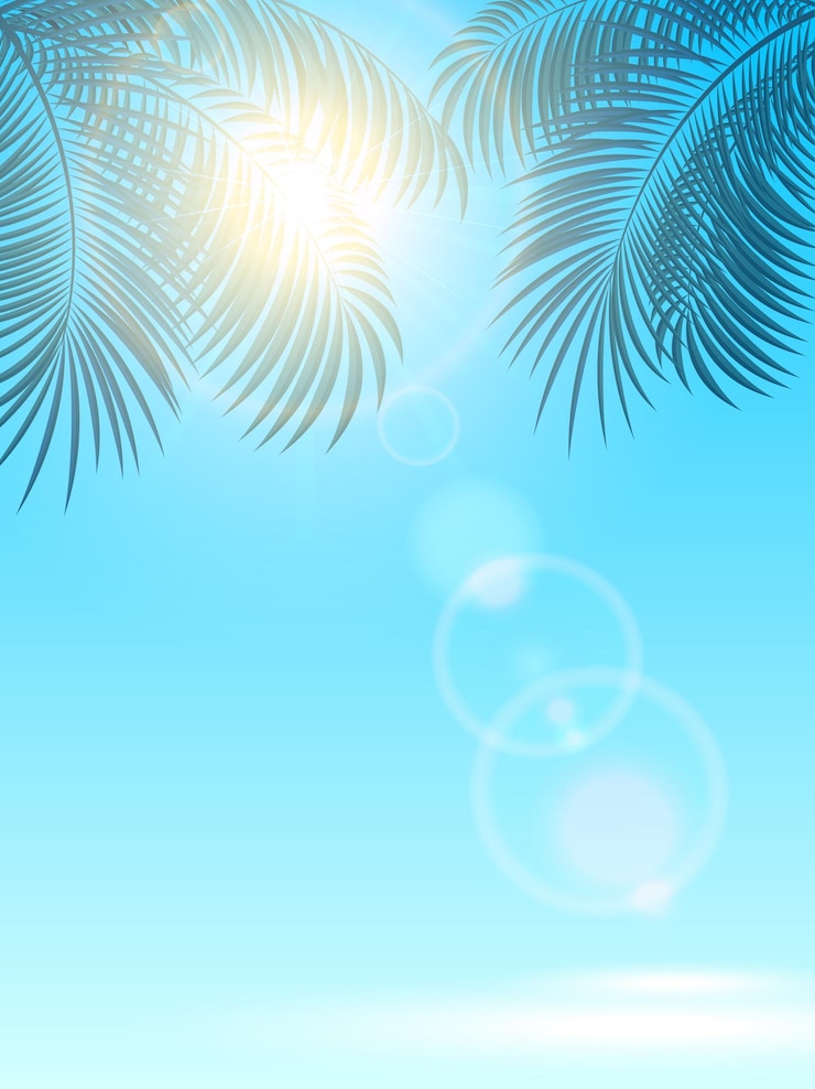 Vector palms and sun on blue background illustration