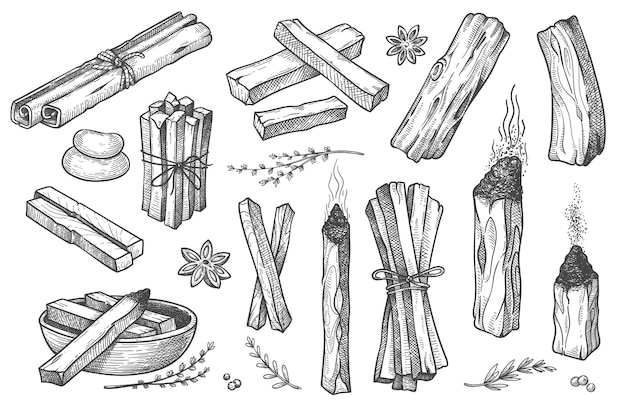 Vector palo santo sticks hand drawn aroma burning stick ritual elements and sacred symbols for witchcraft boho aromatherapy wood vector collection