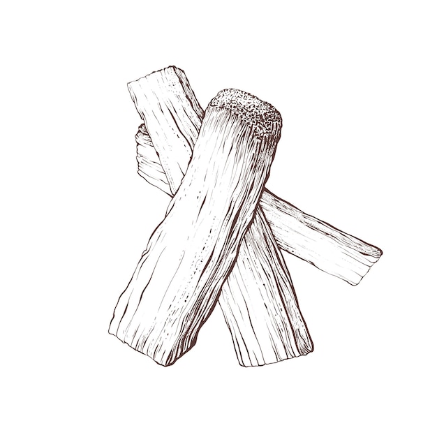 Palo santo tree Organic holy sticks Hand drawn