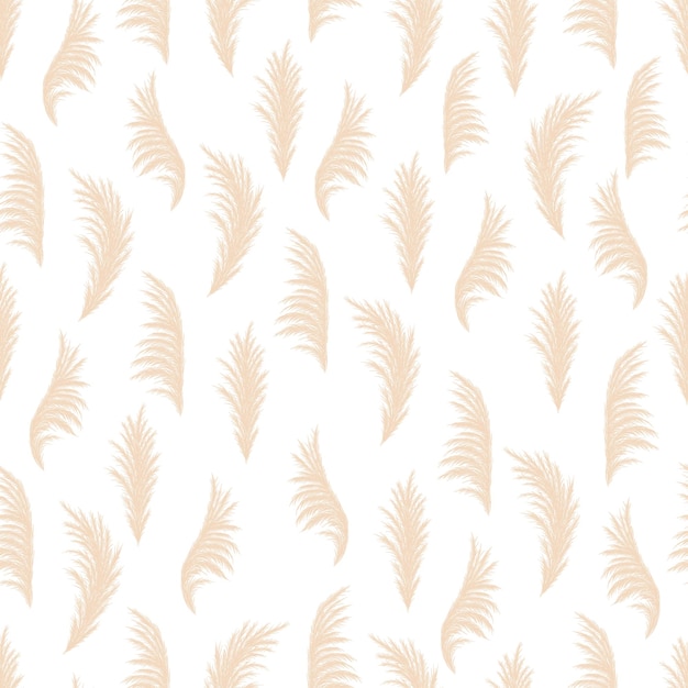 Pampas gras naadloze patroon Vector cortaderia in boho stijl herfst achtergrond