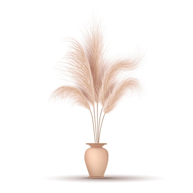 Vector pampas grass in vase