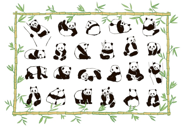 Panda animal vector illustrations set