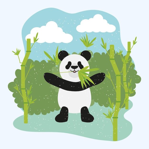 Panda bear and bamboos