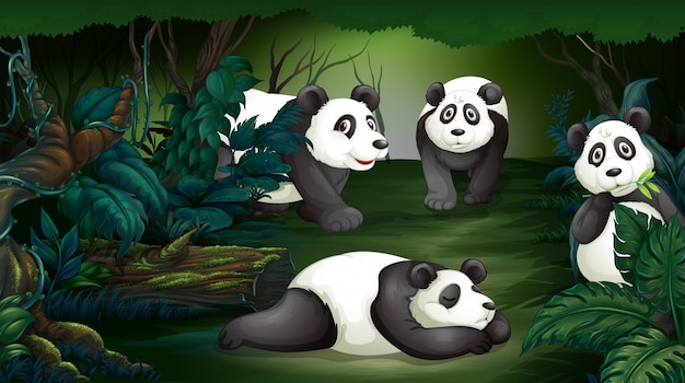 Vector panda in dark forest