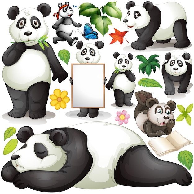 Vector panda in different actions