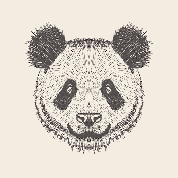 Panda Illustration, hand drawn design.