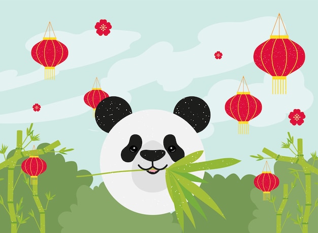 Panda met chinese lantaarns