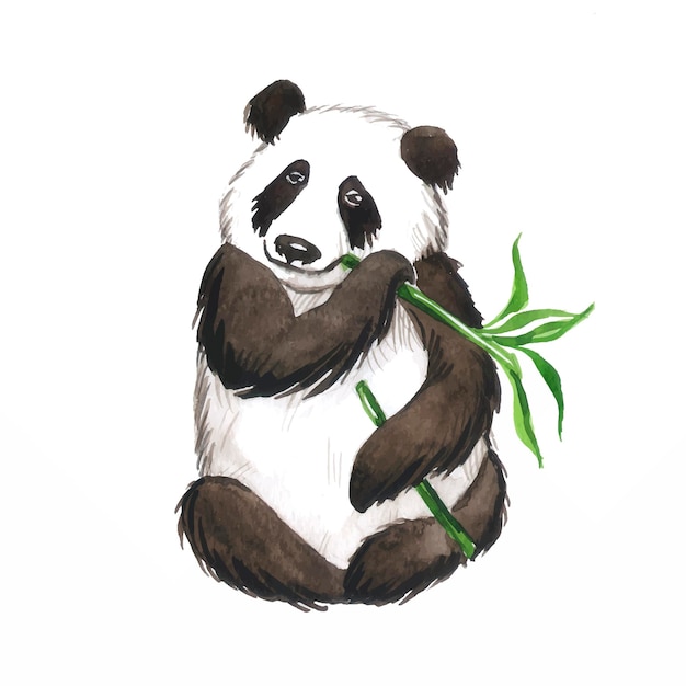 Panda pattern watercolor animal