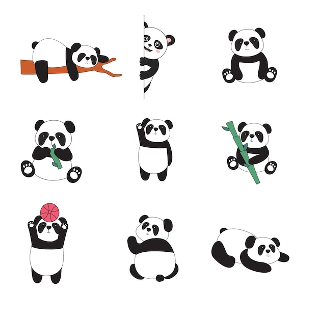 Panda's Vector