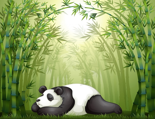 Vector a panda sleeping between the bamboo trees