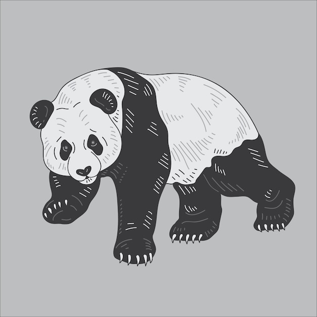 Векторная иллюстрация Panda