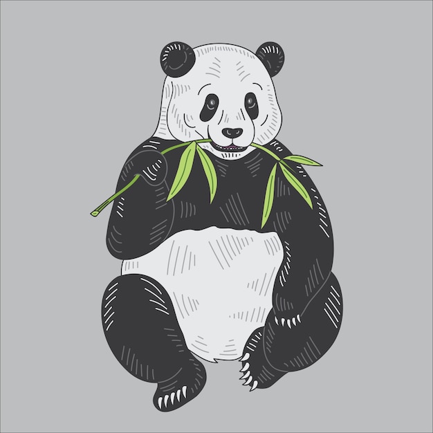 Panda vectorillustratie