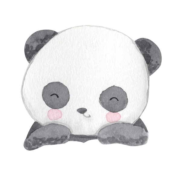 Panda watercolor illustration for kids