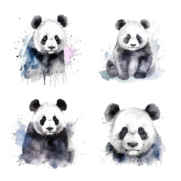 Panda watercolor paint collection