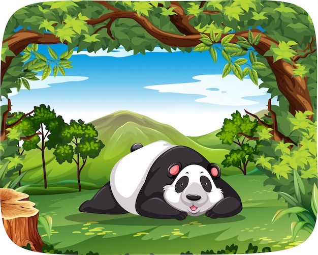 Panda in wood scene