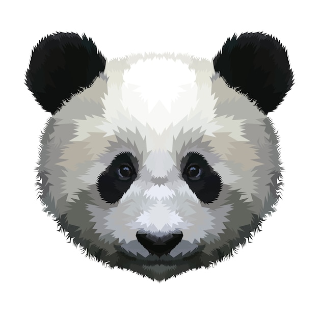 Pandahoofd op een witte achtergrond wordt geïsoleerd die