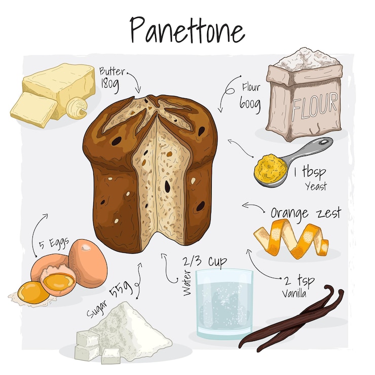 Vector panettone pastry illustration recipe dessert with ingredients