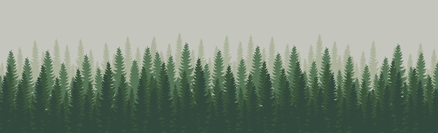 Vector panorama of dense forest fir and pine natural green landscape web background template vector