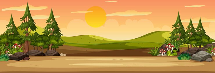 Vector panorama landscape scene at sunset time with many pine trees