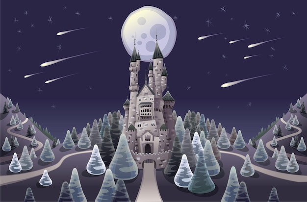 Vector panorama with medieval castle in the night