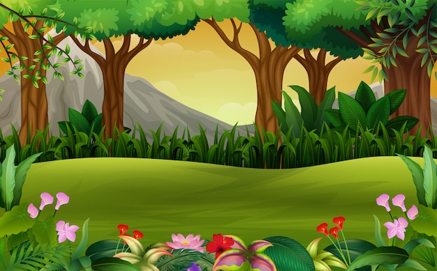 Premium Vector | Panoramic green forest landscape with mountain background Premium Vector | Panoramic green forest landscape with mountain background