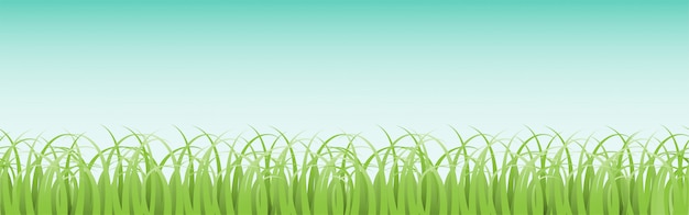 Vector panoramic horizontal seamless grass pattern with blue sky background