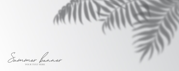 Vector panoramic tropical palm tree banner design