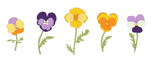 Vettore set di illustrazioni per fiori di viole del pensiero fiori viola e gialli isolati su sfondo bianco