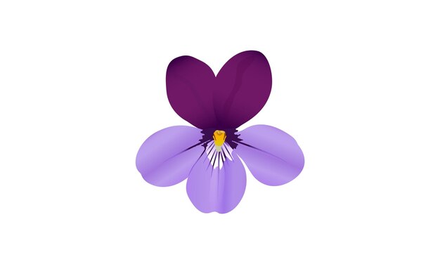 Vector pansy flower abstract design