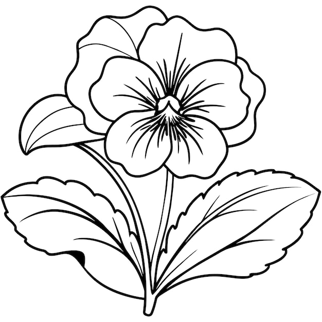 Pansy flower outline illustration coloring book page design Pansy flower Bouquet black and white li