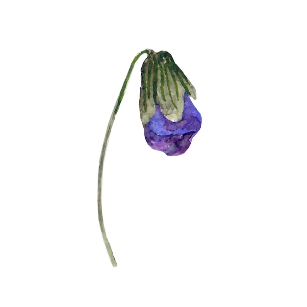 Vettore clipart fiori viola. illustrazione disegnata a mano