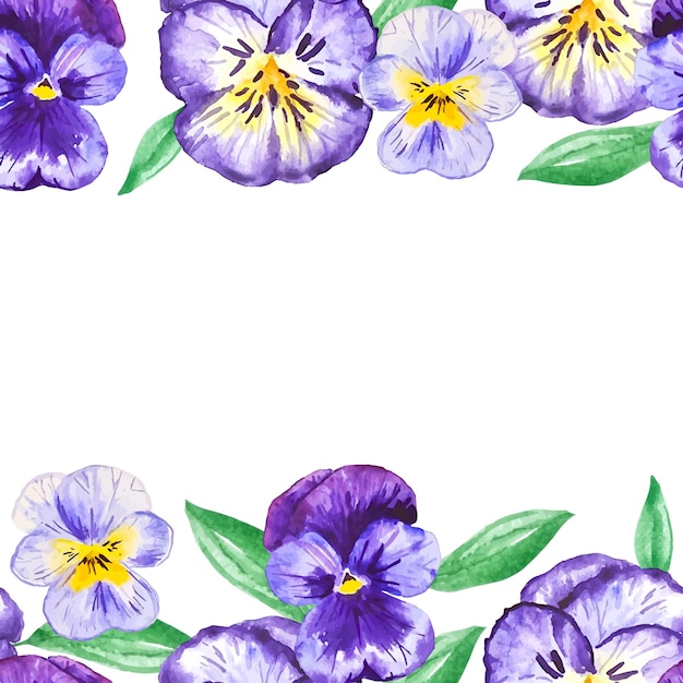 Vector pansy flowers seamless frame for decor invitations floral nature illustration