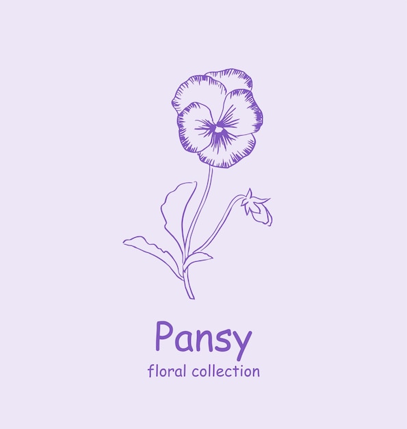 Pansy Logo Trendy botanical elements Hand drawn line leaves and flowersflower illustration