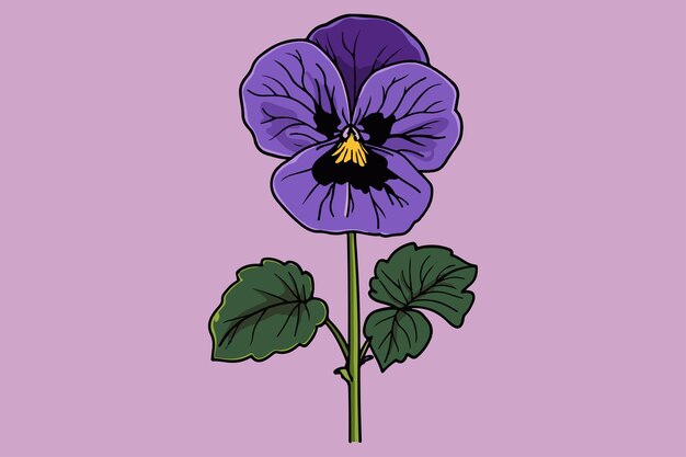 Vector pansy