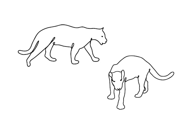 Panther outline, one line icon drawing, linear sketch, doodle