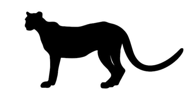 Panther silhouette isolated on white background Vector illustration