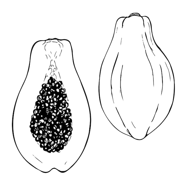 Papaya black and white vector set isolated on a white background