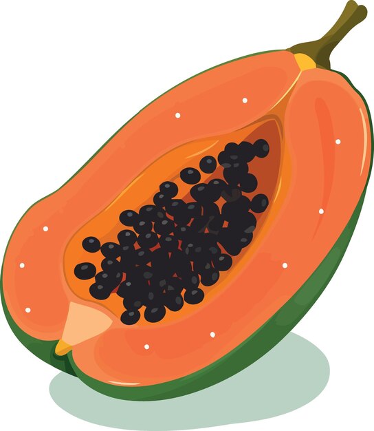 Vettore frutta della papaia tagliata a metà
