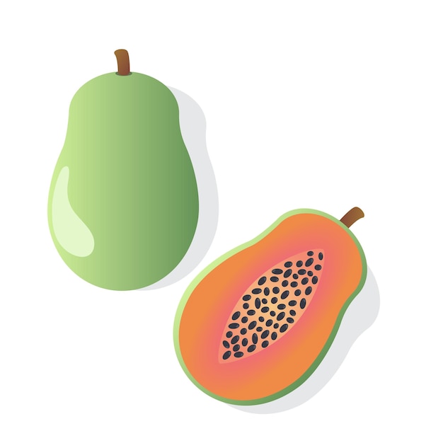 Papaya fruit isolated graphic vector