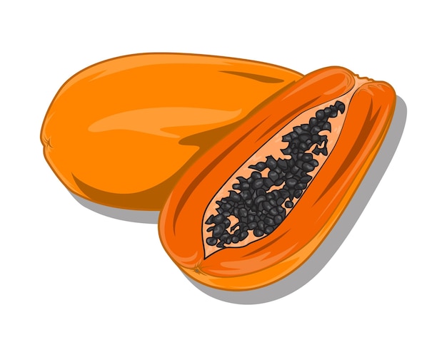 Papaya fruit schilderij vector illustratie