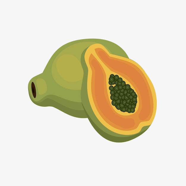 Papaya fruit vector illustration in cartoon style Healthy nutrition organic food vegetarian product