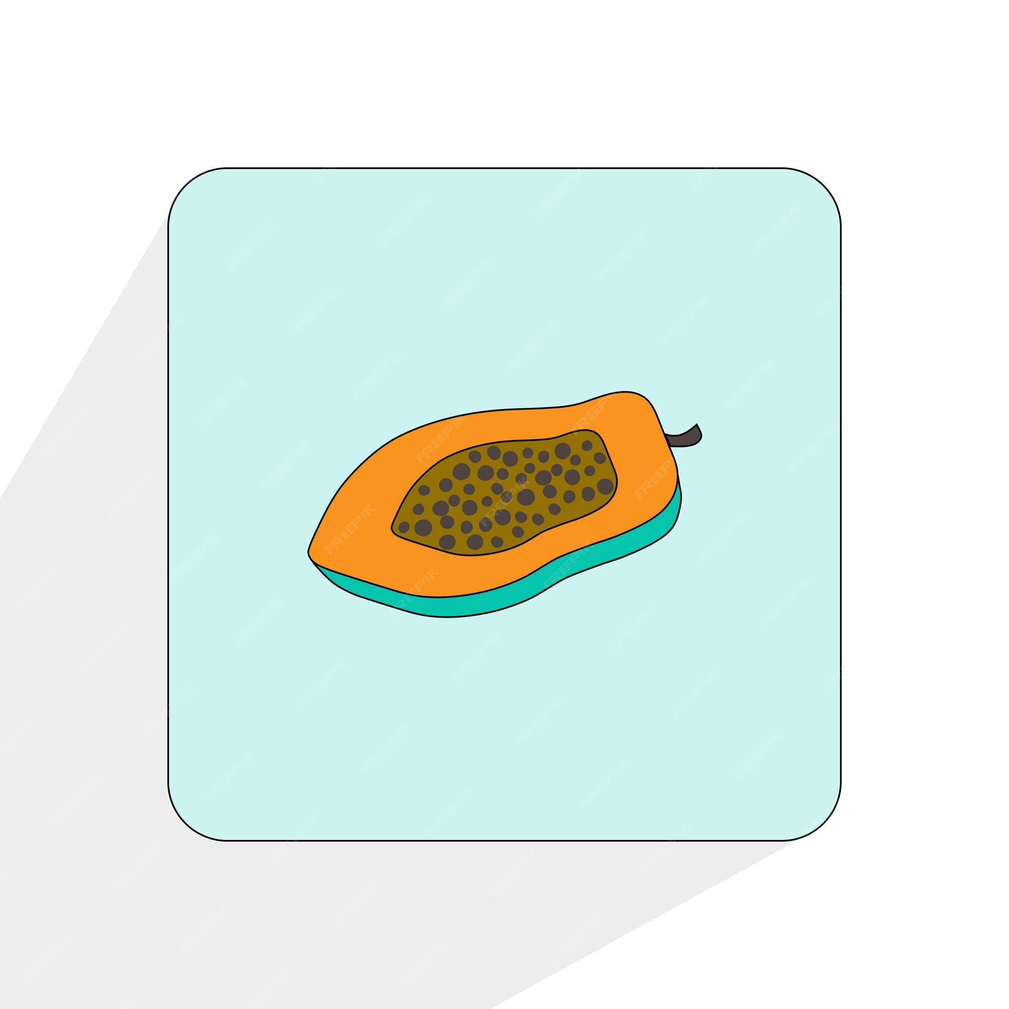 Premium Vector | Papaya fruit