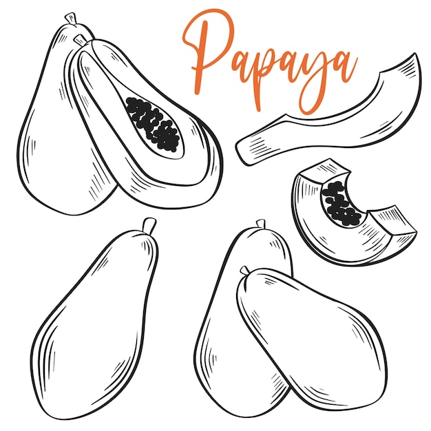 Papaya handgetekende gravure zwart-wit afbeelding