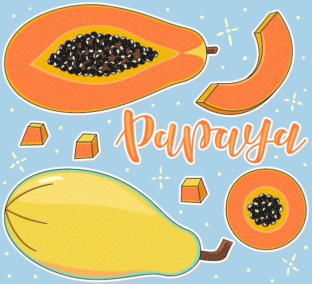 Papaya hele en stukjes vector stock illustratie en belettering