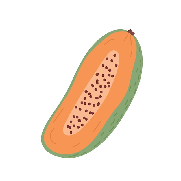 Papaya helft met oranje vruchtvlees en zaden gesneden stuk papaja fruit pawpaw dwarsdoorsnede vers tropisch zoet fruit gekleurde platte vectorillustratie geïsoleerd op witte achtergrond
